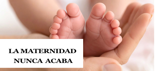 Leer artículo